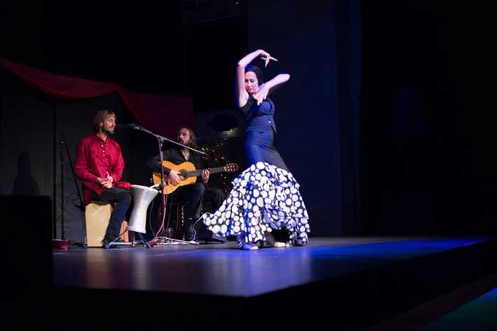 Flamenco Performance